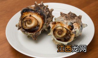 常见螺有哪些品种 螺的品种有哪些