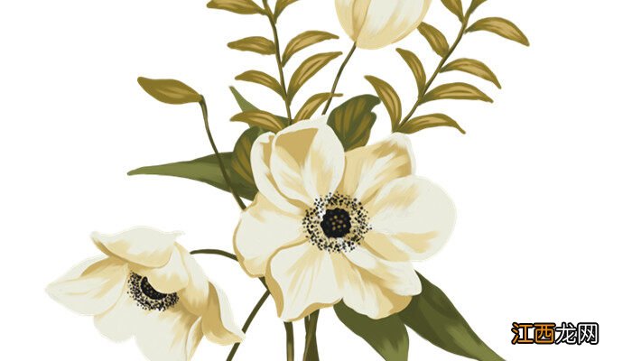 春天开花的花有什么花图片 春天开花的花有什么花