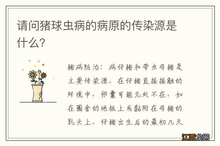 请问猪球虫病的病原的传染源是什么?