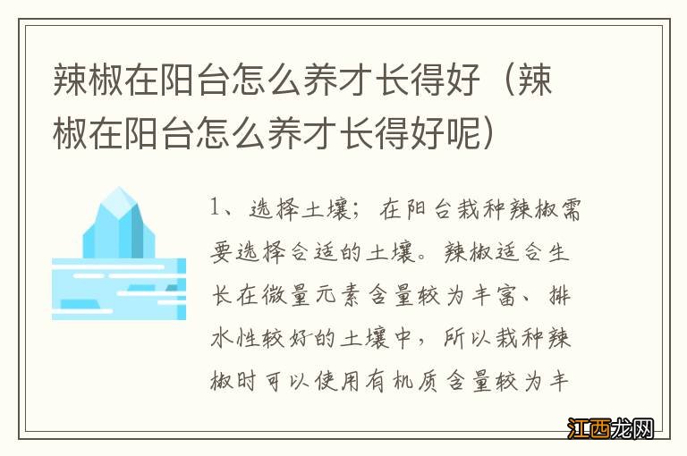 辣椒在阳台怎么养才长得好呢 辣椒在阳台怎么养才长得好