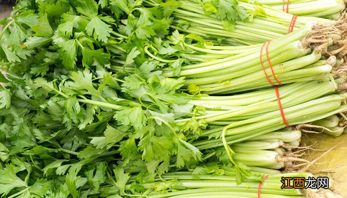 种芹菜多少天能出来卖 种芹菜多少天能出来
