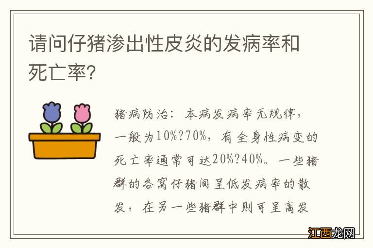 请问仔猪渗出性皮炎的发病率和死亡率？