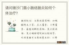 请问猪沙门菌小肠结肠炎如何个体治疗？