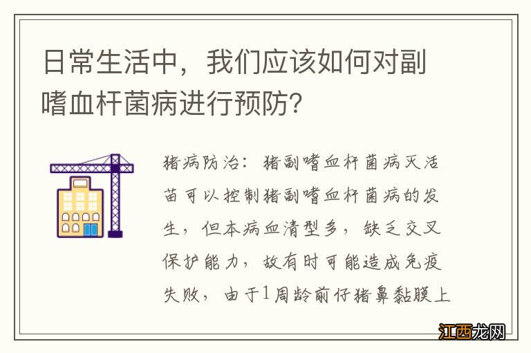 日常生活中，我们应该如何对副嗜血杆菌病进行预防？