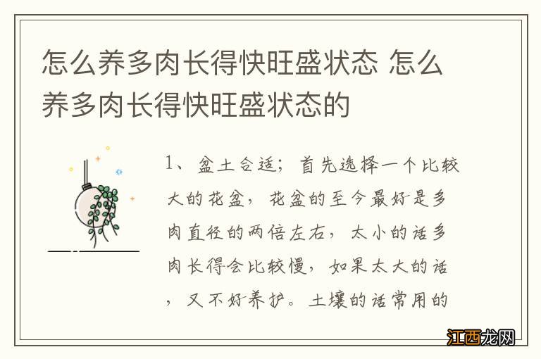 怎么养多肉长得快旺盛状态 怎么养多肉长得快旺盛状态的