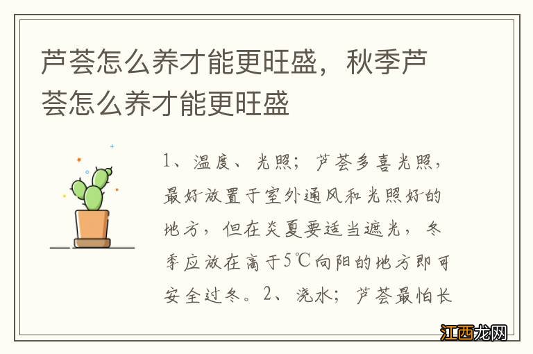 芦荟怎么养才能更旺盛，秋季芦荟怎么养才能更旺盛