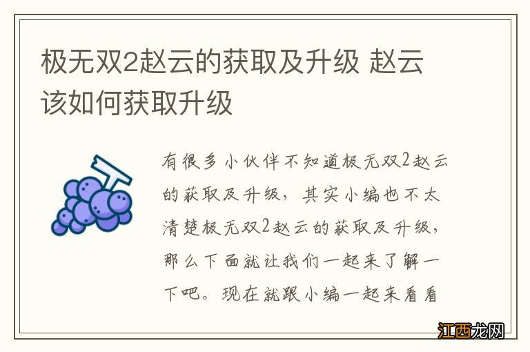 极无双2赵云的获取及升级 赵云该如何获取升级