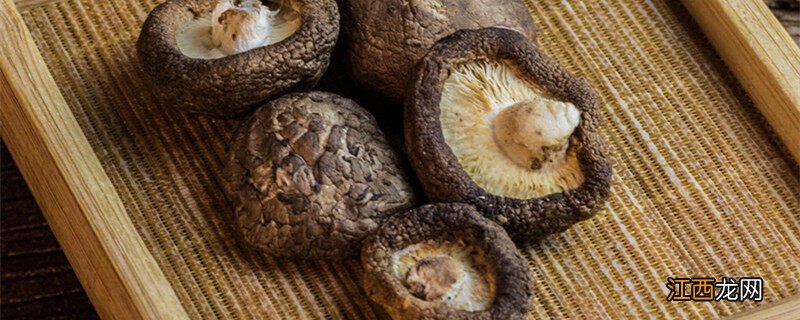 枞树菌可以人工种植吗? 枞树菌可以人工种植吗