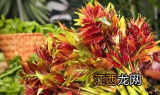 冬天大棚种植香椿可以吗，冬季大棚香椿种植技术