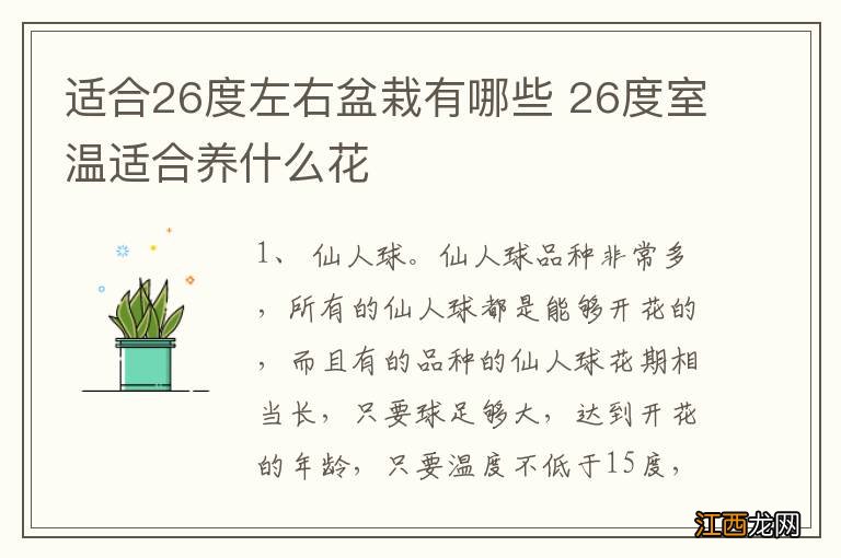 适合26度左右盆栽有哪些 26度室温适合养什么花