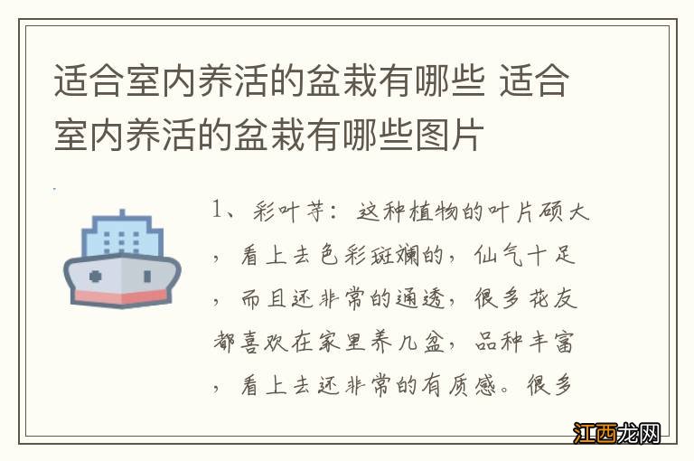 适合室内养活的盆栽有哪些 适合室内养活的盆栽有哪些图片