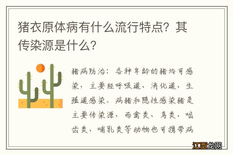 猪衣原体病有什么流行特点?其传染源是什么?