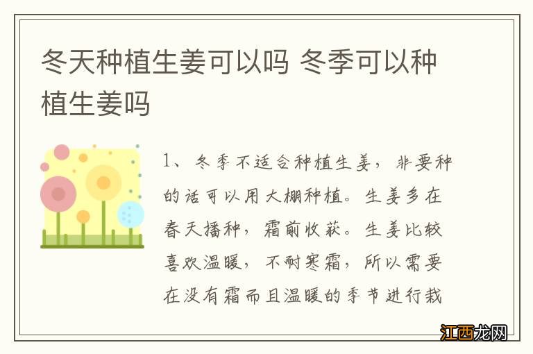 冬天种植生姜可以吗 冬季可以种植生姜吗