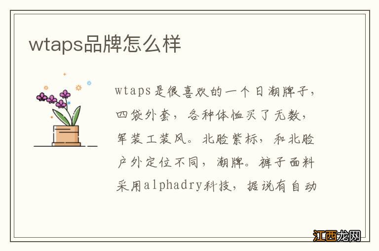 wtaps品牌怎么样