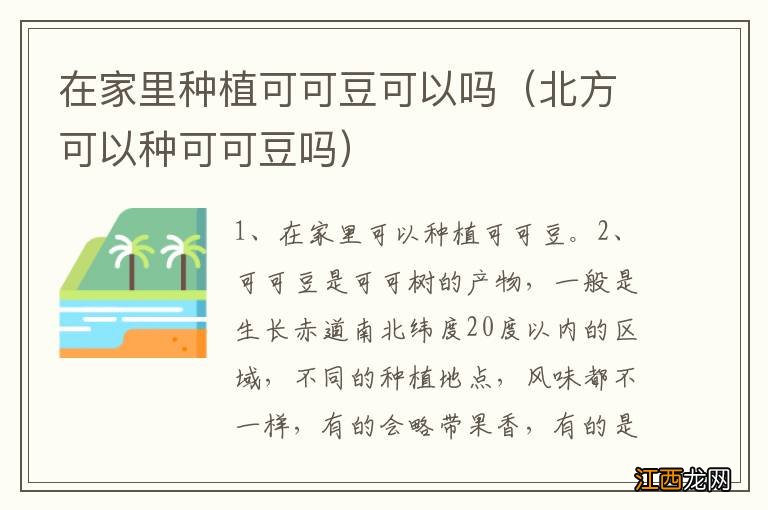 北方可以种可可豆吗 在家里种植可可豆可以吗