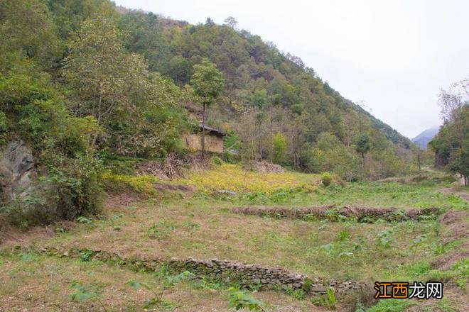 行走秦岭莲花村：这户已搬走多年，但门窗还残存着最后的烟火气息