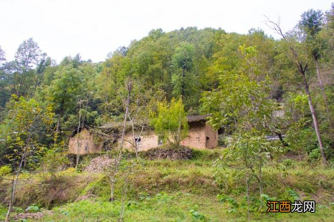 行走秦岭莲花村：这户已搬走多年，但门窗还残存着最后的烟火气息