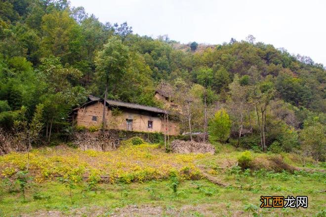 行走秦岭莲花村：这户已搬走多年，但门窗还残存着最后的烟火气息