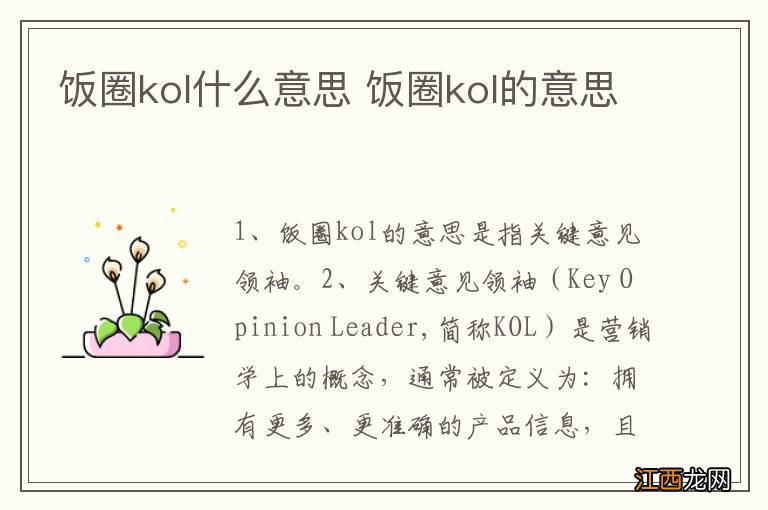 饭圈kol什么意思 饭圈kol的意思