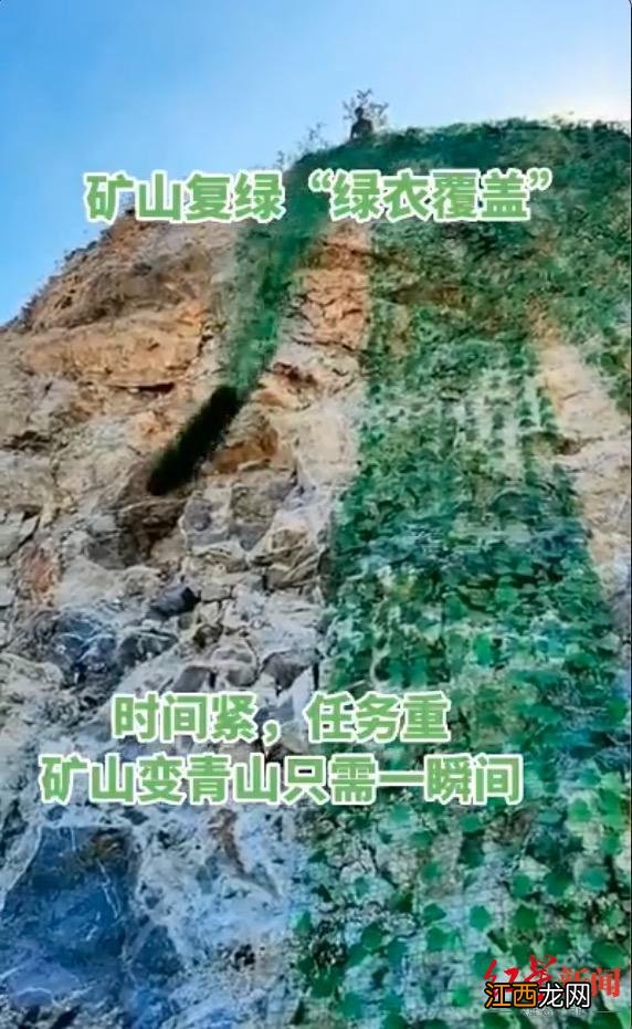 矿山一瞬间就能复绿？专家：商家为了卖产品 卫星可分辨绿化真假