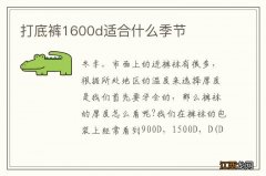 打底裤1600d适合什么季节