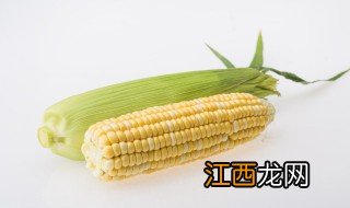 冬天用大棚种植玉米可以吗，冬天大棚里可以种玉米吗