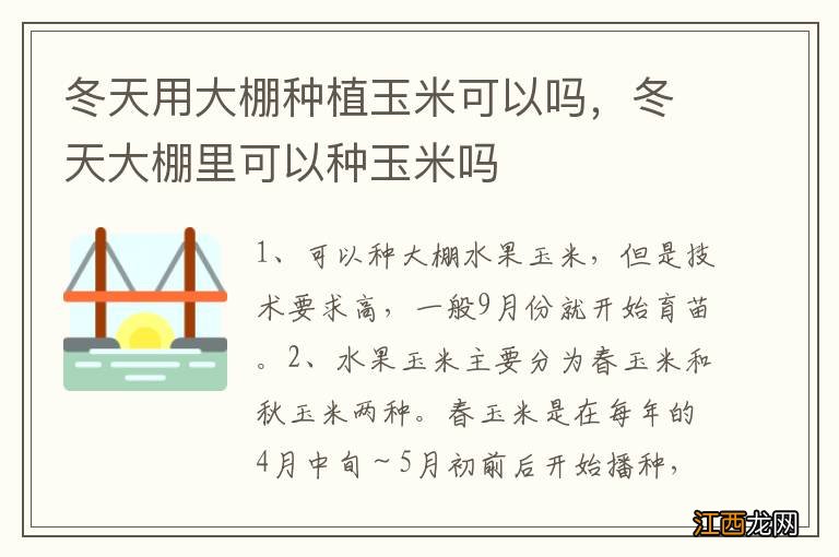 冬天用大棚种植玉米可以吗，冬天大棚里可以种玉米吗