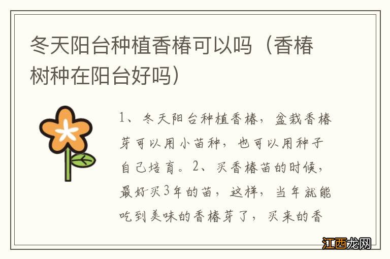 香椿树种在阳台好吗 冬天阳台种植香椿可以吗