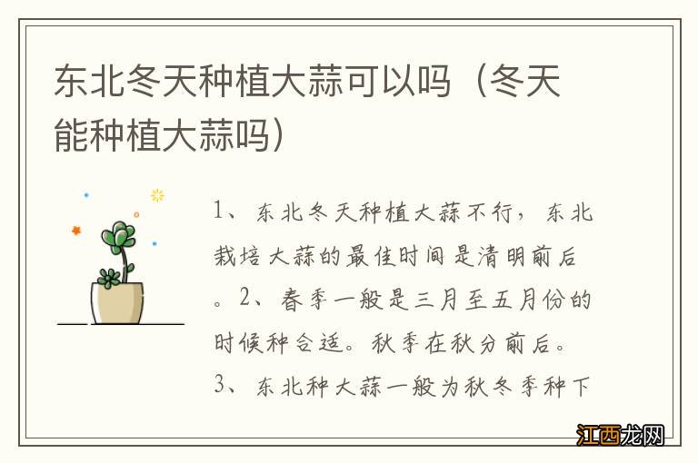 冬天能种植大蒜吗 东北冬天种植大蒜可以吗