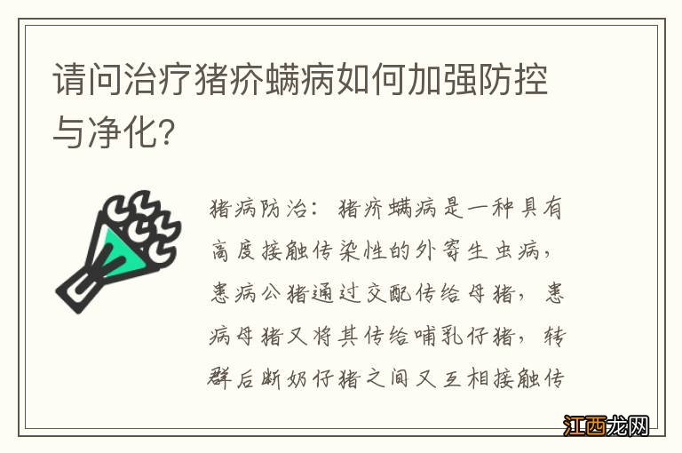 请问治疗猪疥螨病如何加强防控与净化？