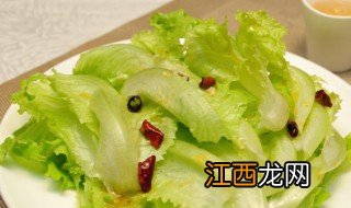 生菜阳台种植方法 生菜阳台种植方法视频