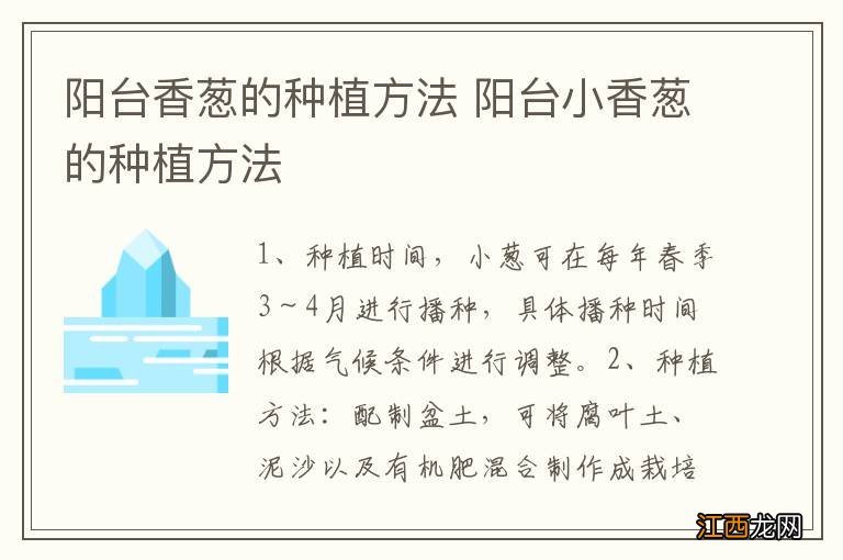 阳台香葱的种植方法 阳台小香葱的种植方法