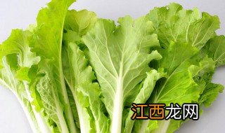 阳台小白菜种植方法 阳台小白菜种植方法图