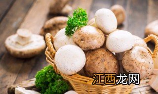 家里种蘑菇种植方法图片 家里种蘑菇种植方法