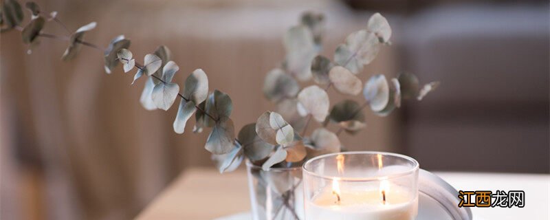 花束最常见的配草 花店常用的配草