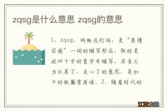 zqsg是什么意思 zqsg的意思