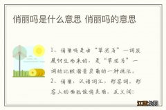 俏丽吗是什么意思 俏丽吗的意思