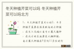 冬天种植芹菜可以吗 冬天种植芹菜可以吗北方