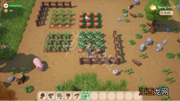 珊瑚岛日落商店在哪-日落商人位置介绍