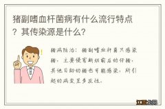 猪副嗜血杆菌病有什么流行特点？其传染源是什么？