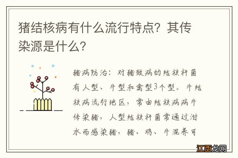 猪结核病有什么流行特点？其传染源是什么？