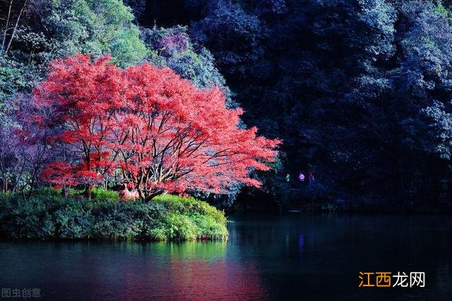 杭州从未令人失望，看遍杭州最美秋景就在这5个地方，秒出大片？