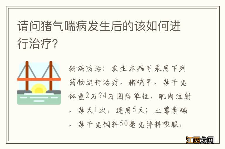 请问猪气喘病发生后的该如何进行治疗？