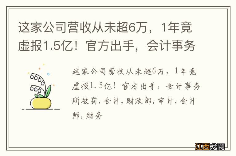 这家公司营收从未超6万，1年竟虚报1.5亿！官方出手，会计事务所被罚