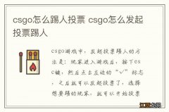 csgo怎么踢人投票 csgo怎么发起投票踢人