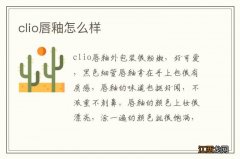 clio唇釉怎么样