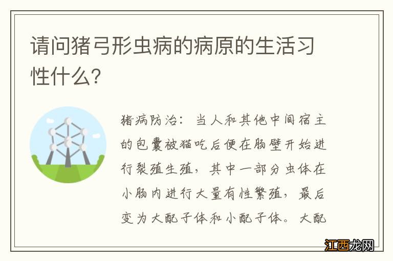 请问猪弓形虫病的病原的生活习性什么？