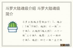 斗罗大陆魂级介绍 斗罗大陆魂级简介