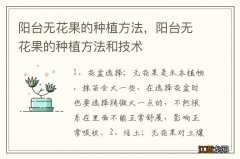 阳台无花果的种植方法，阳台无花果的种植方法和技术