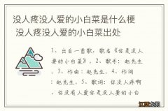 没人疼没人爱的小白菜是什么梗 没人疼没人爱的小白菜出处